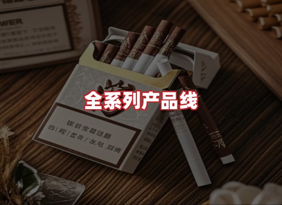 专业团队